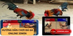Bí quyết chiến thắng đá gà online 33win: Nơi những trận đá gà kịch tính bùng nổ
