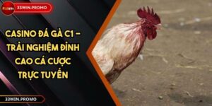 Casino đá gà C1 - Trải nghiệm đỉnh cao cá cược trực tuyến