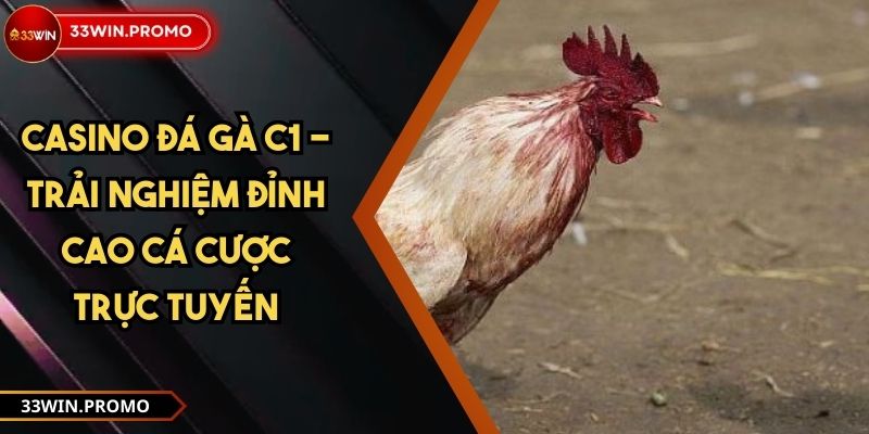 Casino đá gà C1 - Trải nghiệm đỉnh cao cá cược trực tuyến