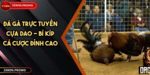 Đá gà trực tuyến cựa dao - Bí kíp cá cược đỉnh cao
