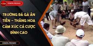 Trường đá gà ăn tiền - Thăng Hoa Cảm Xúc Cá Cược Đỉnh Cao