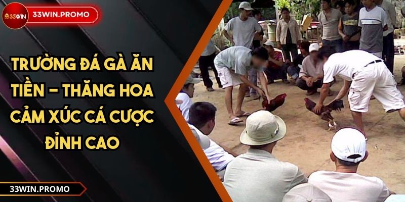 Trường đá gà ăn tiền - Thăng Hoa Cảm Xúc Cá Cược Đỉnh Cao